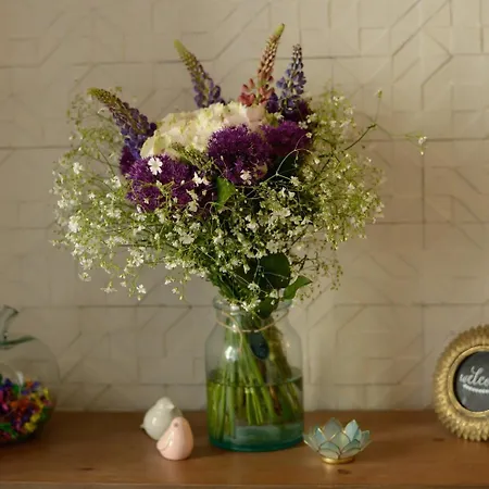 Terre Neuve 3* Paryż