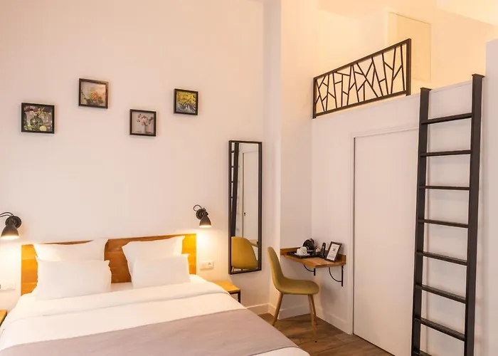 Terre Neuve 3* Paris